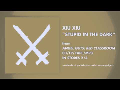 Xiu Xiu - Stupid In The Dark [OFFICIAL AUDIO]