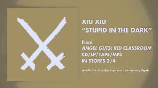 Xiu Xiu - Stupid In The Dark [OFFICIAL AUDIO]