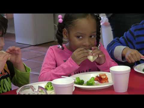 download lagu mp3 mp4 Fun Nutrition Challenges, download lagu Fun Nutrition Challenges gratis, unduh video klip Fun Nutrition Challenges