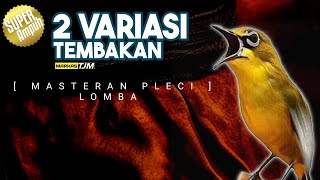 Download lagu 🔴 LIVE Masteran Pleci variasi dua tembakan mp3 Download lagu 🔴 LIVE Masteran Pleci variasi dua tembakan mp3