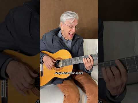 Araçá Azul - Caetano Veloso