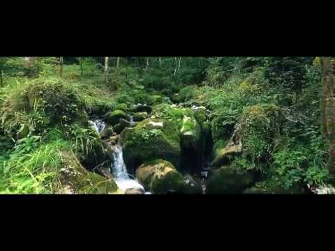 Clos des Sens - Annecy le Vieux - LE FILM