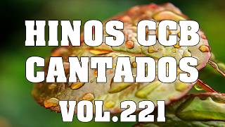 CCB Hinos Cantados - Coletânea de lindos hinos Vol.221 Jonas Benichio #ccbcultoonlineaovivo