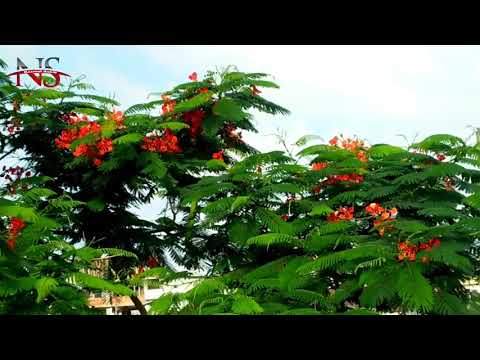 Valobasa ra tiu valobasa-Nazmul Sakib12