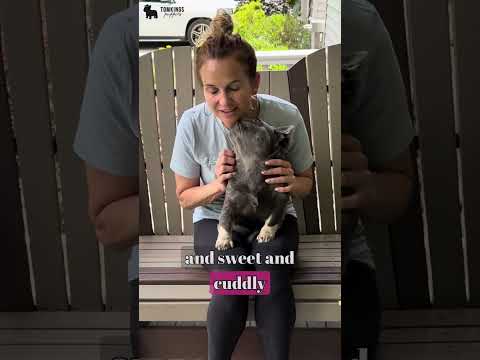 Video 1