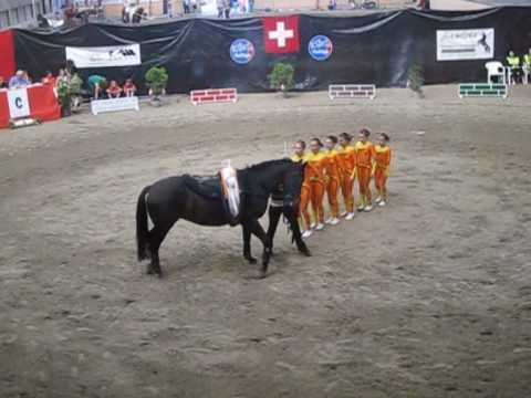 Kür Schweizermeisterschaft 2010