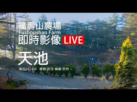 福壽山農場天池即時影像
