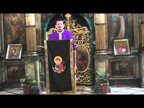 25.03.2014 Buna Vestire cuvant Pr Ovidiu Pop