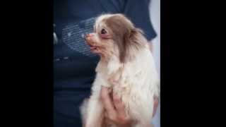 Everyone needs a Hero...