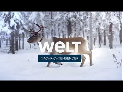 WELT Werbeendtrenner – einzelnes Rentier (seit Mitte Januar 2021 - Ende Februar 2021)