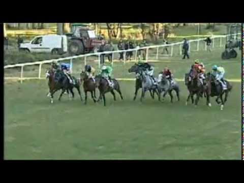 Premio Enrico Camici 2013 (LISTED RACE)