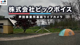あしべつ市　（元）上芦別保育園　公園側ライブカメラ live webcam
