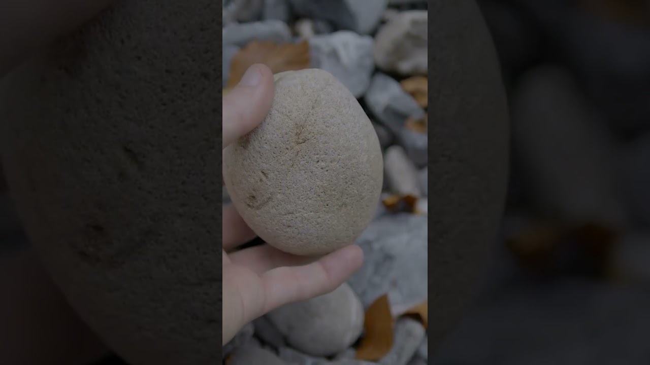 Forgive and Be Forgiven