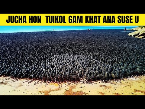 Macquarie tuikol a jucha a billion a sim ana cheng hochu hoiya kon hunglut u hiding ham?