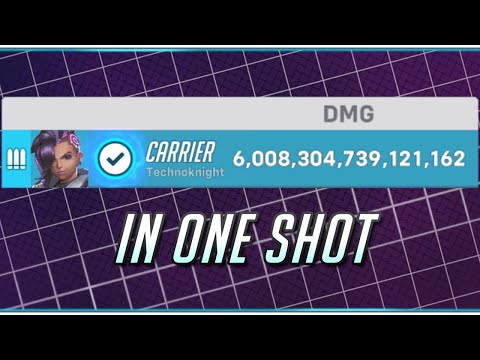 6 Quadrillion Damage Dealt