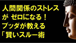 新訳ブッダの教え／人間関係のストレスがゼロになる！お釈迦様が教える「賢いスルー術」