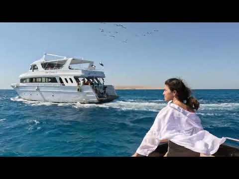 tour video on youtube