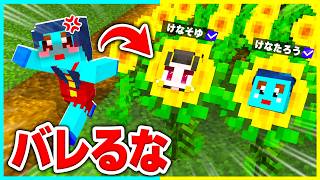 絶対バレない！花に変身してママにドッキリマインクラフト【まいくら / マインクラフト】