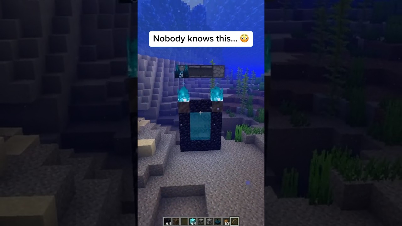 The portal at the end… 🤯 #shorts #minecraft