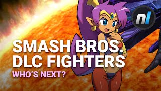 Who Do YOU Think the Next Smash Bros. DLC Fighters will Be?