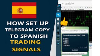 How to Set Up Telegram Copy Utility for Spanish Trading Signals 📲💹