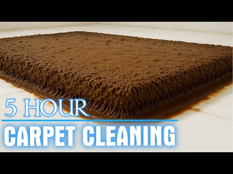 Ultimate Deep Sleep: Relaxing ASMR Carpet Cleaning for Perfect Sleep - 5 Hour Carpet Cleaning