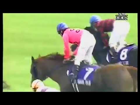 2005 Yasuda Kinen G1 - Asakusa Den'en (淺草田園) - S Fujita (精英大師前中段被主隊馬糾纏未能順放末段仍然力鬥到底跑回一席相當接近的第三)