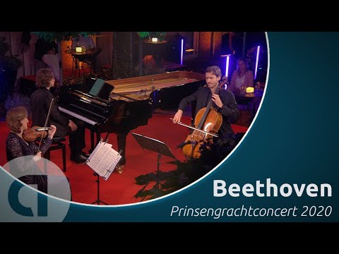 Beethoven: Pianotrio op. 11, deel 3 - Allegretto | Van Baerle Trio | Prinsengrachtconcert 2020