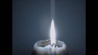 Video Rabbit - FLAMES