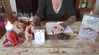 Download Lagu The Wild Unknown Animal Spirit Deck: Shark, Swan, Dolphin - THE TAXIDERMY WITCH Thumbnail