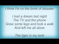 Eels - Tiger In My Tank Lyrics