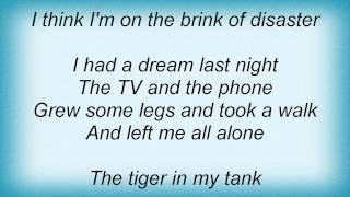 Eels - Tiger In My Tank Lyrics