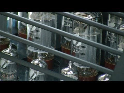 PrimaLuna DiaLogue Premium HP Power Amplifier Unboxing