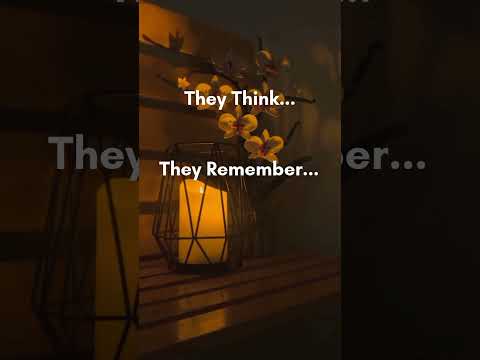 Inlyth: AI Companion Chat video thumbnail
