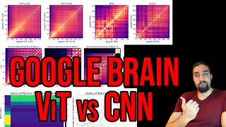 Do Vision Transformers See Like Convolutional Neural Networks? | Paper Explained