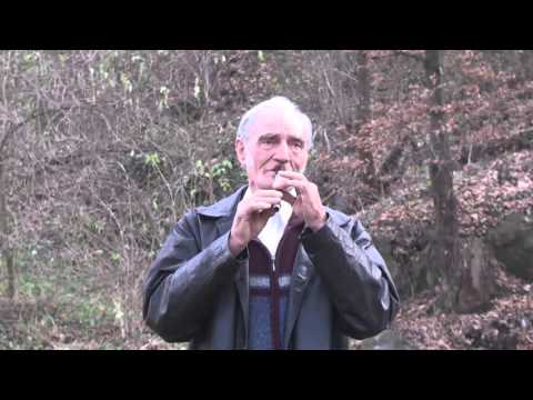 1.Petar Ljeparevic - Najlepša vlaška kola -  Homoljska oluja 1.