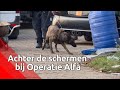 Een kijkje achter de schermen van Operatie Alfa op het woonwagenkamp in Lith