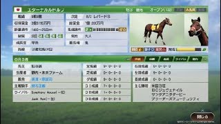 Winning Post 9_米国3冠編ultimate