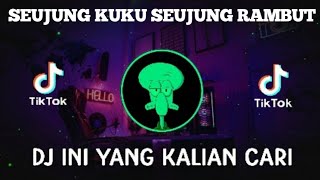 Download lagu DJ SEUJUNG RAMBUT SEUJUNG KUKU REMIX FULL BASS VIRAL TIKTOK TERBARU 2022 | DJ TITIP CINTAKU mp3