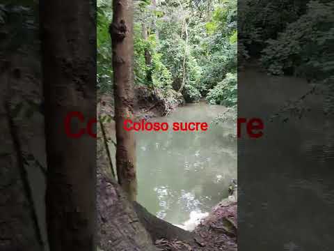 ven y vive una experiencia única en las posas de coloso sucre #shortvideo #supcribete #seguidores