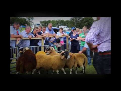 Finn valley show 2019