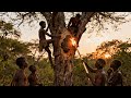 Hadzabe Tribe Hunting And Harvesting Honey To Survive In Wild The Life Of Hadzabe Hunter
