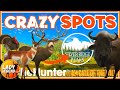 CRAZY SPOTS To Find DIAMONDS In Silver Ridge Peaks Call Of The Wild