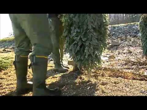 Wildlife Officers Place Fish Attractors at Chester Frost