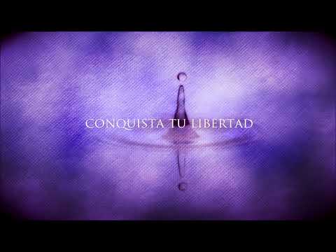Luis Labbé feat. Mc Losibe - Realidad (Lyric Video)