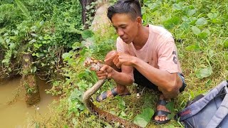 Download lagu The crowned python is very scary mp3