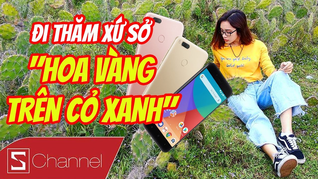 Đi thăm xứ sở 