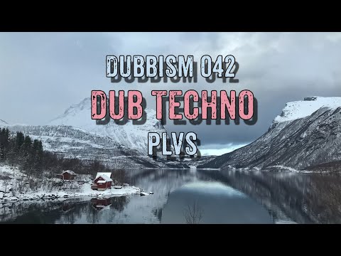 Dub Techno Mix 2022 | DUBBISM 042 - PLVS