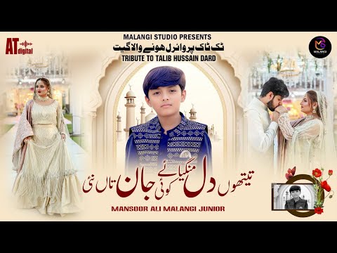 Taithoon Dil Mangya Koi Jan Taan Ni | TikTok Viral Song | Junior Mansoor Ali Malangi | Imran Talib