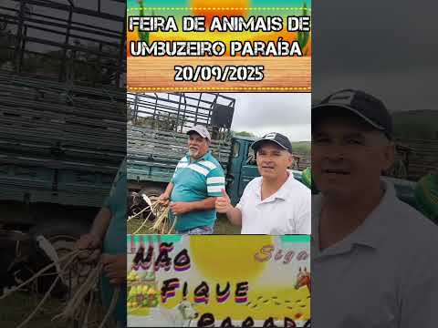 Na feira de animais de Umbuzeiro Paraíba